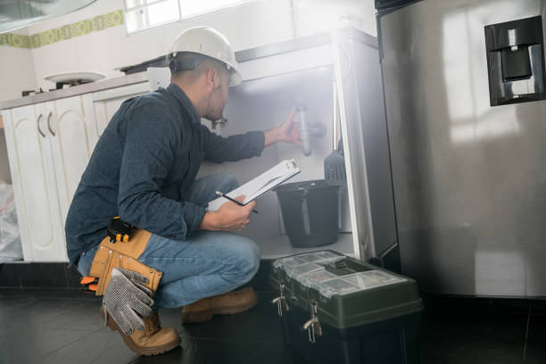 Best Commercial Plumbing Services  in Rochelle, IL